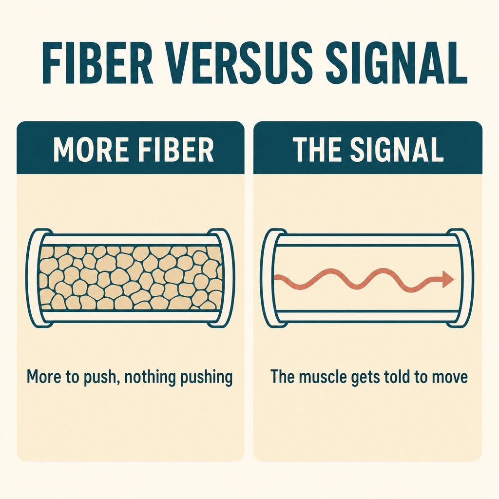 fiber versus signal - the reframe, drawn