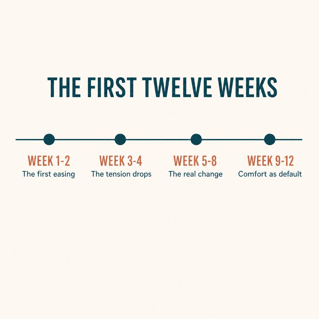 the twelve-week arc, compressed