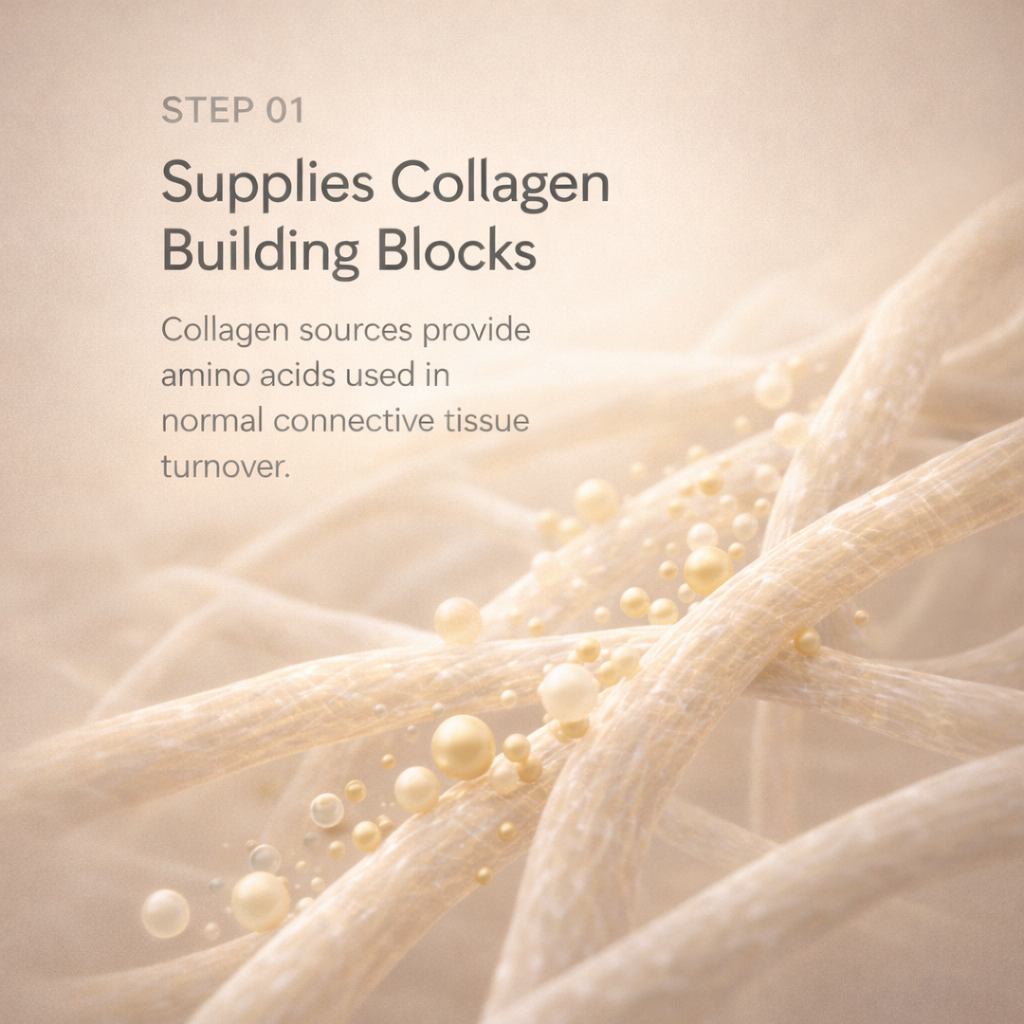Step 1 - supplies collagen building blocks