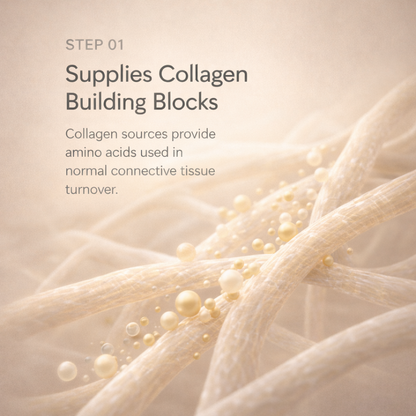 Step 1 - supplies collagen building blocks