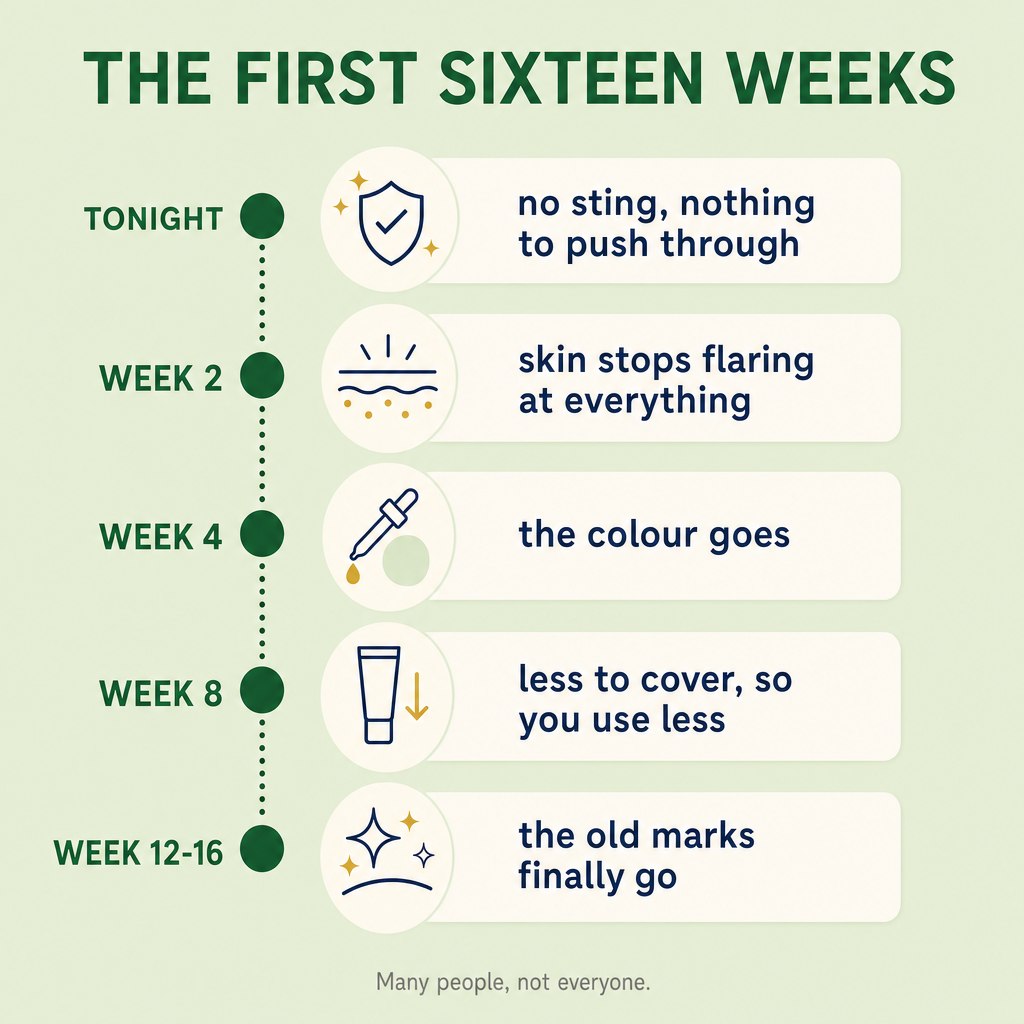 The first sixteen weeks