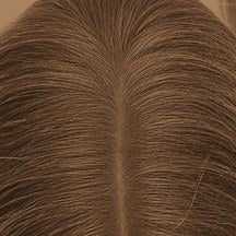 Medium Brown