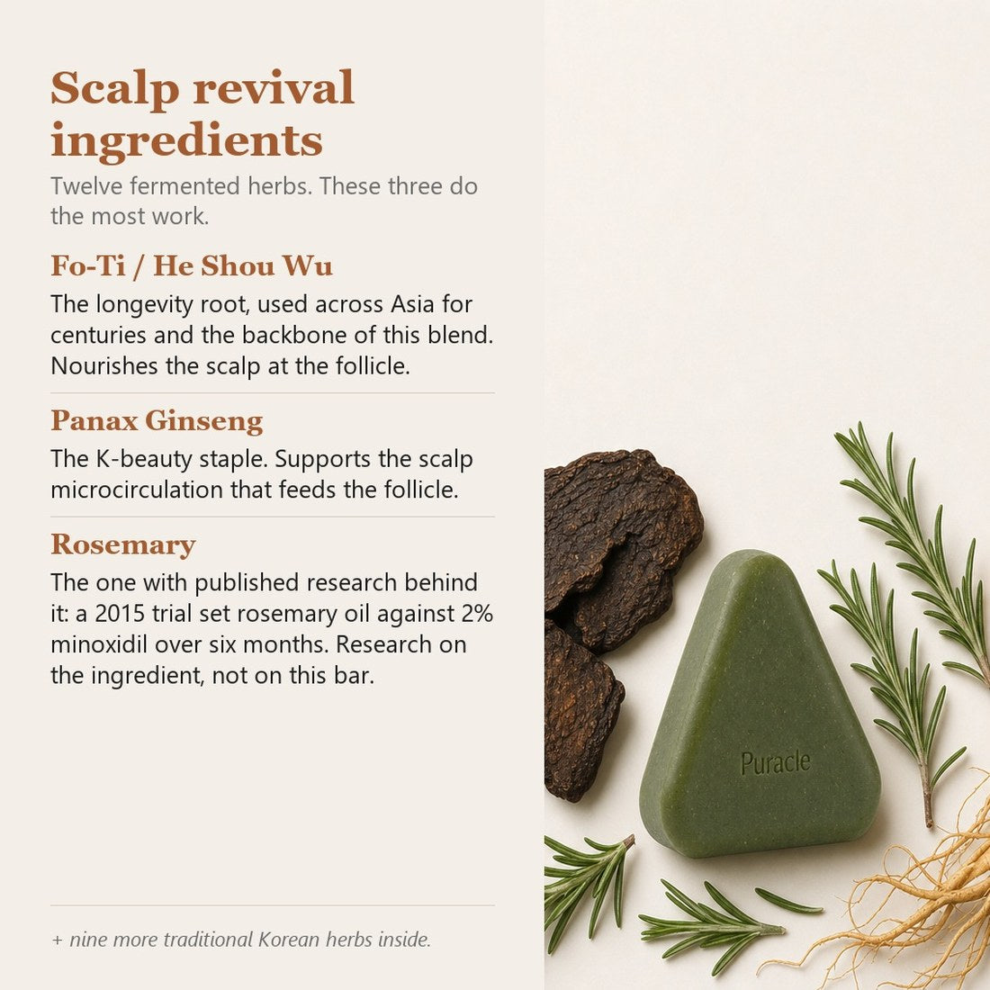 Scalp revival ingredients: fo-ti, Panax ginseng and rosemary, and what each one does